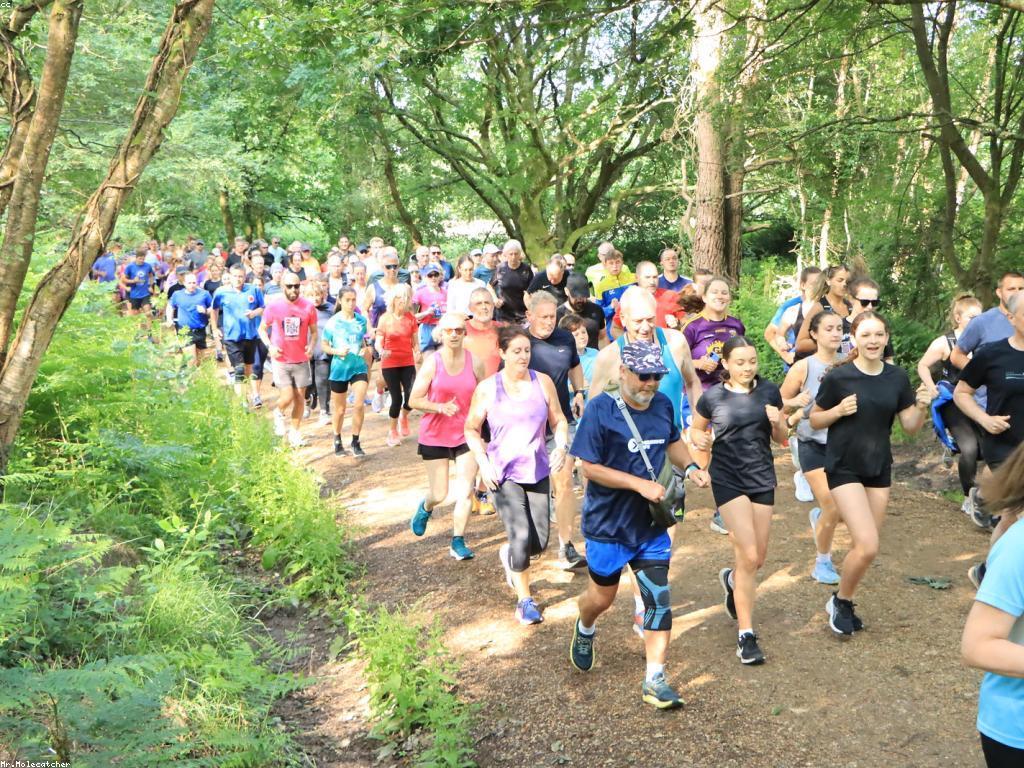 ការសម្របសម្រួលKH99ជាមួយធម្មជាតិ